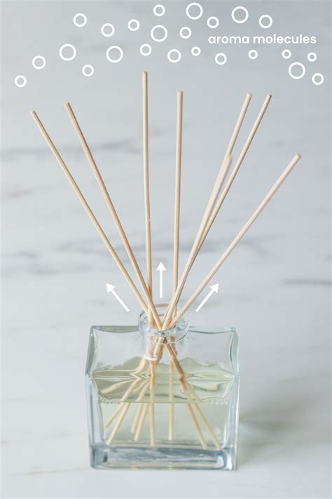 Discover the Magic of Aromatherapy with Magic Candle Company's Reed Diffusers